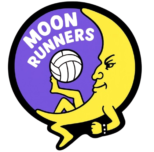 Logo Beachvolleyball Wien